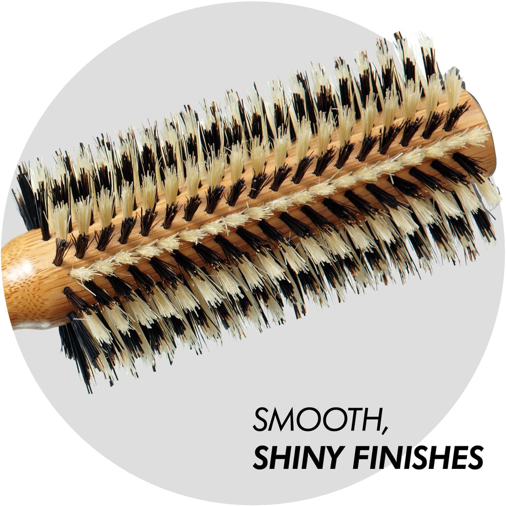 Sam Villa Signature Series Boar Bristle Brush Set, 6-Piece with Case